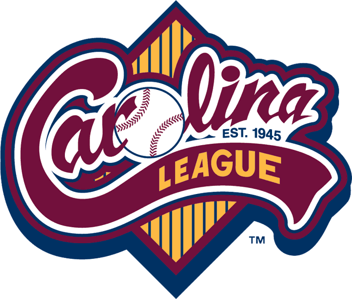 Carolina League 1995-pres primary logo iron on transfers for clothing